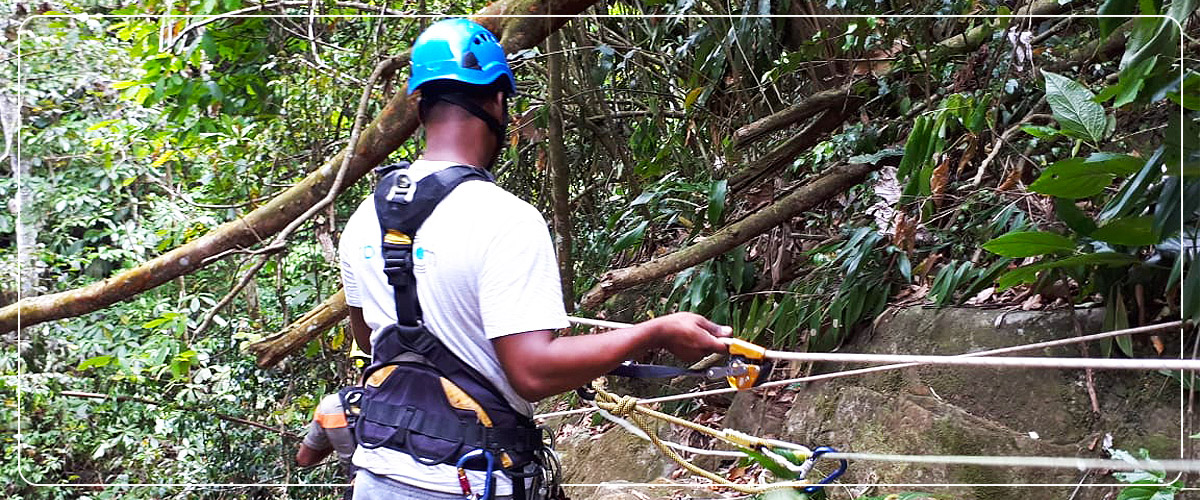 Denis Grasser cordiste en Guadeloupe, tous travaux sur corde